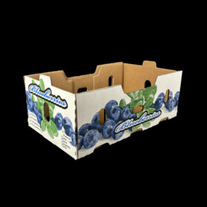 An open top corrugated box for fresh blueberries.