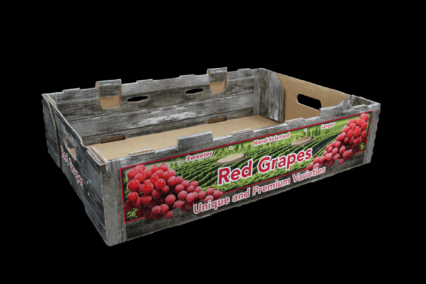 A5322  6 x 3 lb Red Grape