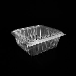 A clear, 2 pound clamshell for blueberries and grapes.