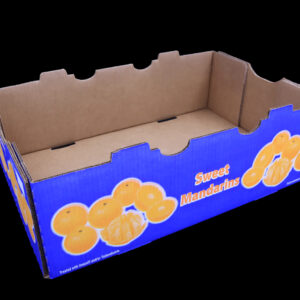 A5383 Sweet Mandarin Stock