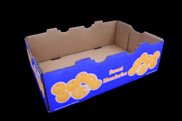 A5383 Sweet Mandarin Stock