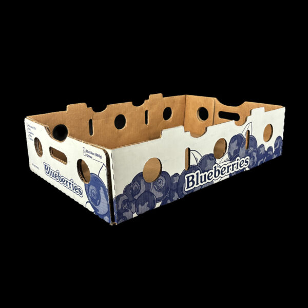 A5488 12-24oz Blueberry Stock