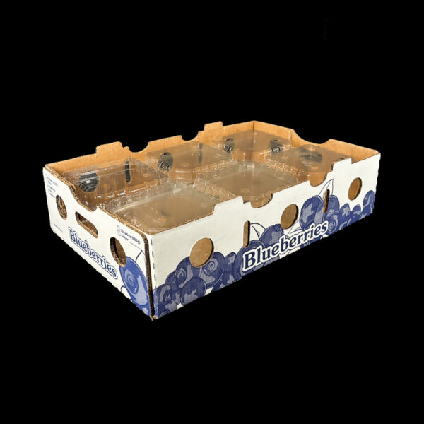 A5488 12-24oz Blueberry Stock - Image 3