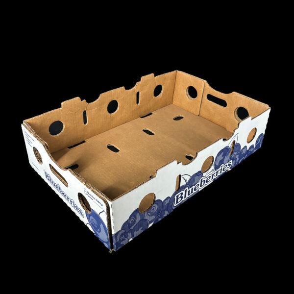 A5488 12-24oz Blueberry Stock - Image 2
