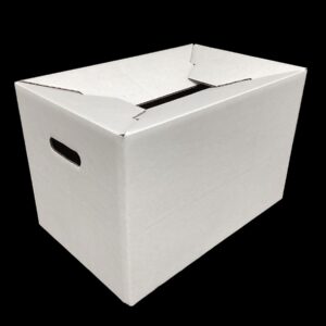 A5499 Telescoping Lid Plain White