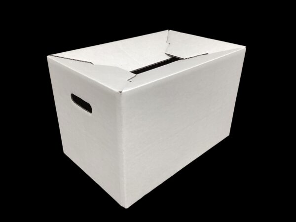 A5499 Telescoping Lid Plain White